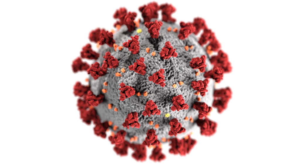 Enlarged view of COVID-19 virus
